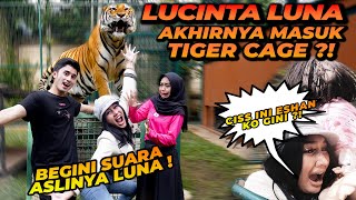 LUCINTA LUNA MASUK TIGER CAGE SAMPE KELUAR SUARA ASLINYA [upl. by Naaitsirhc]