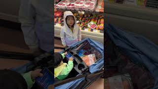 Grocery Shopping with a Stroller Wagon [upl. by Neslund]