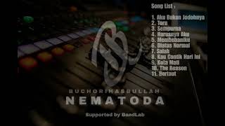 Album Vol 2 Nematoda [upl. by Nannarb]