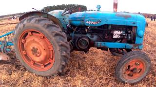 1957 Fordson E1A New Major Livedrive 36 Litre 4Cyl Diesel Tractor 40HP With Ransomes Plough [upl. by Ronda]