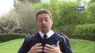 Could you be an RSPCA inspector [upl. by Gardner414]