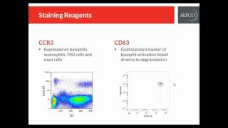 InhibiScreen Kinase Inhibitor Assay Technical Video [upl. by Rednave]