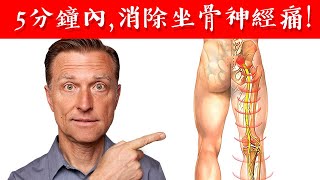 5分鐘內減輕坐骨神經痛補銅與高銅食物自然療法柏格醫生 Dr Berg [upl. by Eagle]