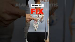 How to fix plantar fasciitis plantarfasciitis plantarfasciitisrelief [upl. by Amuwkuhc72]