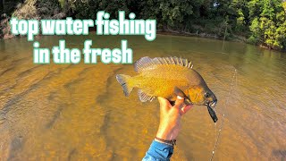 lure fishing the herbert river australia hinchinbrook freshwaterfishing lurefishing [upl. by Airotkciv212]