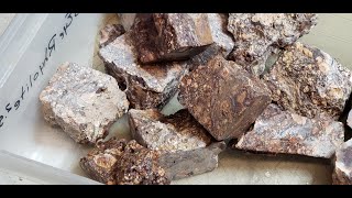 Cutting Birds Eye Rhyolite on a Tile Saw [upl. by Hort]