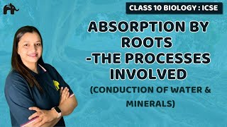 Absorption by Roots The Processes Involved  Chapter 4 Class 10 ICSE Biology Selina  Conduction [upl. by Aisan804]