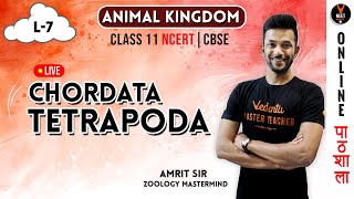 ChordataTetrapoda  Animal Kingdom  CBSE Class 11 Biology Chapter 4  NCERT Biology  NEET Biology [upl. by Harlin]