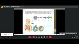 Clase fisiopatología  Enfermedades respiratorias [upl. by Paolo863]