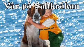 Vår på Saltkråkan  Swedish spring song [upl. by Ibok]