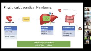 Webinar Neonatal Jaundice and Hyperbilirubinemia [upl. by Almap217]