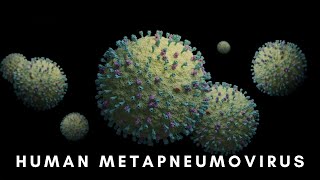 Human Metapneumovirus Insights and Impacts [upl. by Nosac]