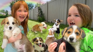 DOGGY DAY CARE SPA Adley Niko amp Navey take care of baby puppies pet makeover and morning routine [upl. by Audrye]