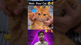 Is She Dead 🥺💔 Pray🙏 reaction sad cat tiktok [upl. by Schultz400]