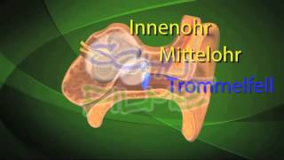 Ohr  Trailer Schulfilm Biologie [upl. by Normy]