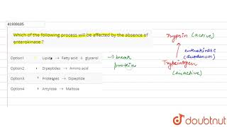 Which of the following process will be affected by the absence of enterokinase [upl. by Odin]