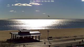 Brighton Beach Webcam [upl. by Pachston108]