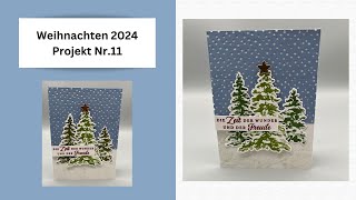 Weihnachten 2024 Projekt Nr 11 Mit den Produkten von StampinUP [upl. by Mehsah159]