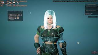 Black Desert Online on the Nvidia GT 1030 graphics card PC 1080p intel i5 2400 [upl. by Kapor]