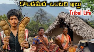 దట్టమైన అడవిలో ఒంటరి కుటుంబం  Tribal family lives in dency forest kondareddy TribalMirror [upl. by Adraynek]