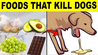 22 Common Foods That Will Kill Your Dog [upl. by Trask893]