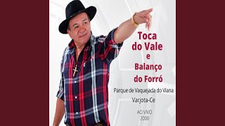 Todo Tempo É Pouco pra Te Amar Ao Vivo [upl. by Ithnan]