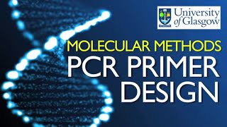 PCR Primer Design [upl. by Sidwell]