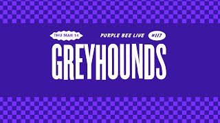 Greyhounds • Purple Bee Live 117 • Live Vinyl Recording [upl. by Doley]