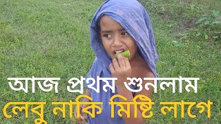 লেবু মিষ্টি লাগে আজ প্রথম শুনলাম polli bangla tv [upl. by Rhodes]