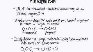 Dehydration synthesis and hydrolysis Reactions [upl. by Angell]