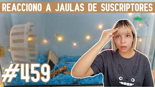 REACCIONO a JAULAS para HAMSTER de SUSCRIPTORES [upl. by Fiore54]