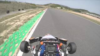 RMCGF 2015 Track test Rotax 125 Junior MAX evo [upl. by Fenella]