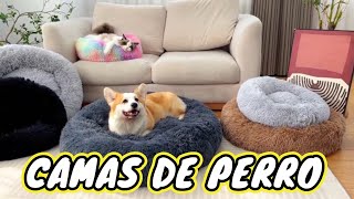 🛏️cuatro MEJORES Camas para Perros BARATAS de Aliexpress 2024🐕‍🦺para Perros Pequeños y Grandes🐶 [upl. by Munford619]