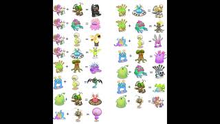 How to breed all water island epics msm mysingingmonstersmsm shorts mysingingmonstersgame [upl. by Onaicilef]