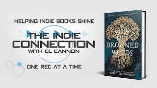 The Drowned Woods  The Indie Connection With CL Cannon [upl. by Meldon]