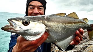 Pêche du bord au METAL JIG en mer [upl. by Enylorac]