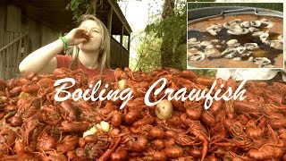 How to Boil and Eat Louisiana Crawfish [upl. by Maible]