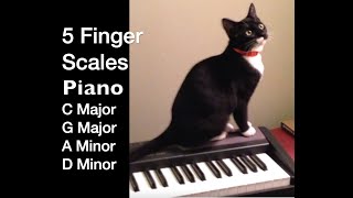 Piano 5 Finger Scales in C Major G Major A Minor amp D Minor [upl. by Bergman]