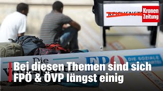 Bei diesen Themen sind sich FPÖ und ÖVP längst einig  kronetv NEWS [upl. by Josefa]