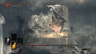 Dark Souls 3  Nameless King vs Ancient Wyvern [upl. by Capon]