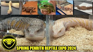 Spring Penrith Reptile Expo 2024 [upl. by Lawrence]