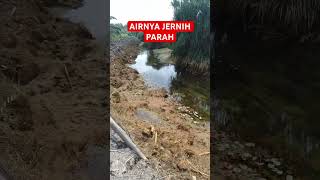 Sungai Jernih biawak duck buayaliar blackpinkanime vlogmancing fishing buaya [upl. by Magda]