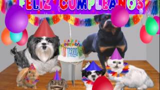 ♫♫♥ Dedicatoria de cumpleaños Video chistoso video gracioso ♥♫ [upl. by Accire734]