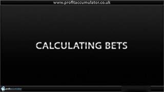 Matched Betting Basic Training Tutorial with Profit Accumulator [upl. by Ken]