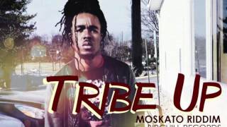 JAFÉ  TRIBE UP Moskato Riddim July 2016 [upl. by Immot128]