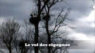 Le vol des cigognes [upl. by Dric]