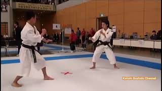 the flowing shorinji kempo technique [upl. by Maudie]