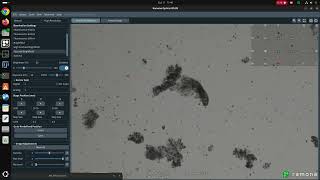 Tardigrades in action under a multicamera array microscope [upl. by Nyleve]