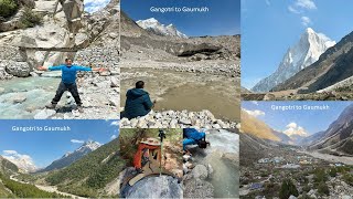 Gangotri to Gaumukh Trek 2024 [upl. by Iridis5]