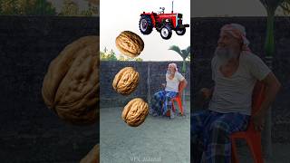 Rounding walnuts to Alto Rollar Jcb amp Tractor  Vehicles names magic video [upl. by Annawik]